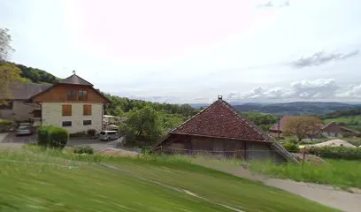 Image de Les couleurs du bien-être